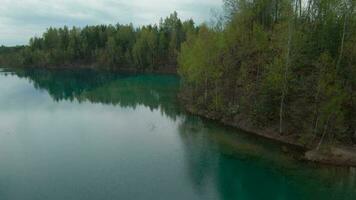 volo al di sopra di il turchese superficie di il lago, il foresta cresce su il costa. grodek parco, Polonia video