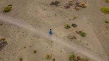 vrouw in een blauw jurk in de midden- van een landschap van gehard lava in de teide nationaal park. video