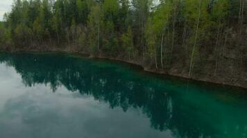 volo al di sopra di il turchese superficie di il lago, il foresta cresce su il costa. grodek parco, Polonia video