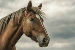 Penetrating horse's gaze against cloudy sky, framed by wild mane AI Generated photo