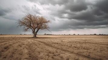 un seco campo y un árbol en eso en nublado y seco clima. ai generado foto