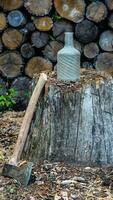 Felling wood with a splitting wedge and hatchet. photo