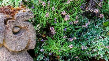 Garden decorations made of stones and stone sculptures among nice greens. photo