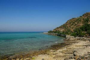 Jureirah,UAE.Coast of Indian ocean area. photo