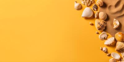 Sea shells on a orange background with copyspace. photo