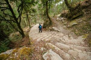 A young traveller trekking on forest trail , Nepal photo