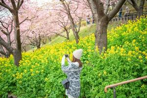 atractivo mujer es disfrutando con Cereza florecer en matsuda , Japón foto