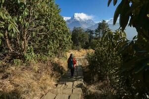 A young traveller trekking on forest trail , Nepal photo