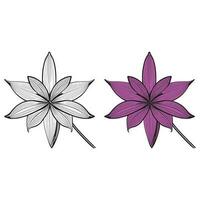 Lily flower line art Vector