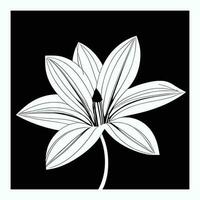 Lily flower line art Vector