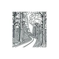 A dirt road through the forest, line art. vector