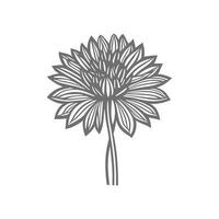 sunflower line art Vector