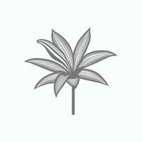 Lily flower line art Vector