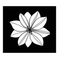Lily flower line art Vector