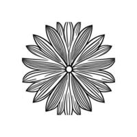 Lily flower line art Vector