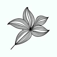 Lily flower line art Vector