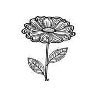 sunflower line art Vector