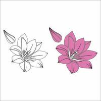 Lily flower line art Vector