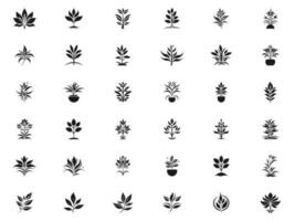 Flower line icon set. Collection of high quality black outline logo for mobile concepts and web apps design. Flower set in trendy flat style. Vector illustration on a white background