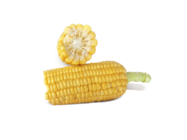 Corn, transparent background png