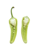 skivad grön varm chili paprikor transparent bakgrund png