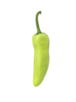 verde chili Pepe, trasparente sfondo png