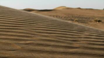 lent mouvement, cinématographique, vent, désert, dunes, milieu est, Voyage video