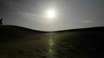 silhouet van Mens in woestijn zonsondergang wandelen video