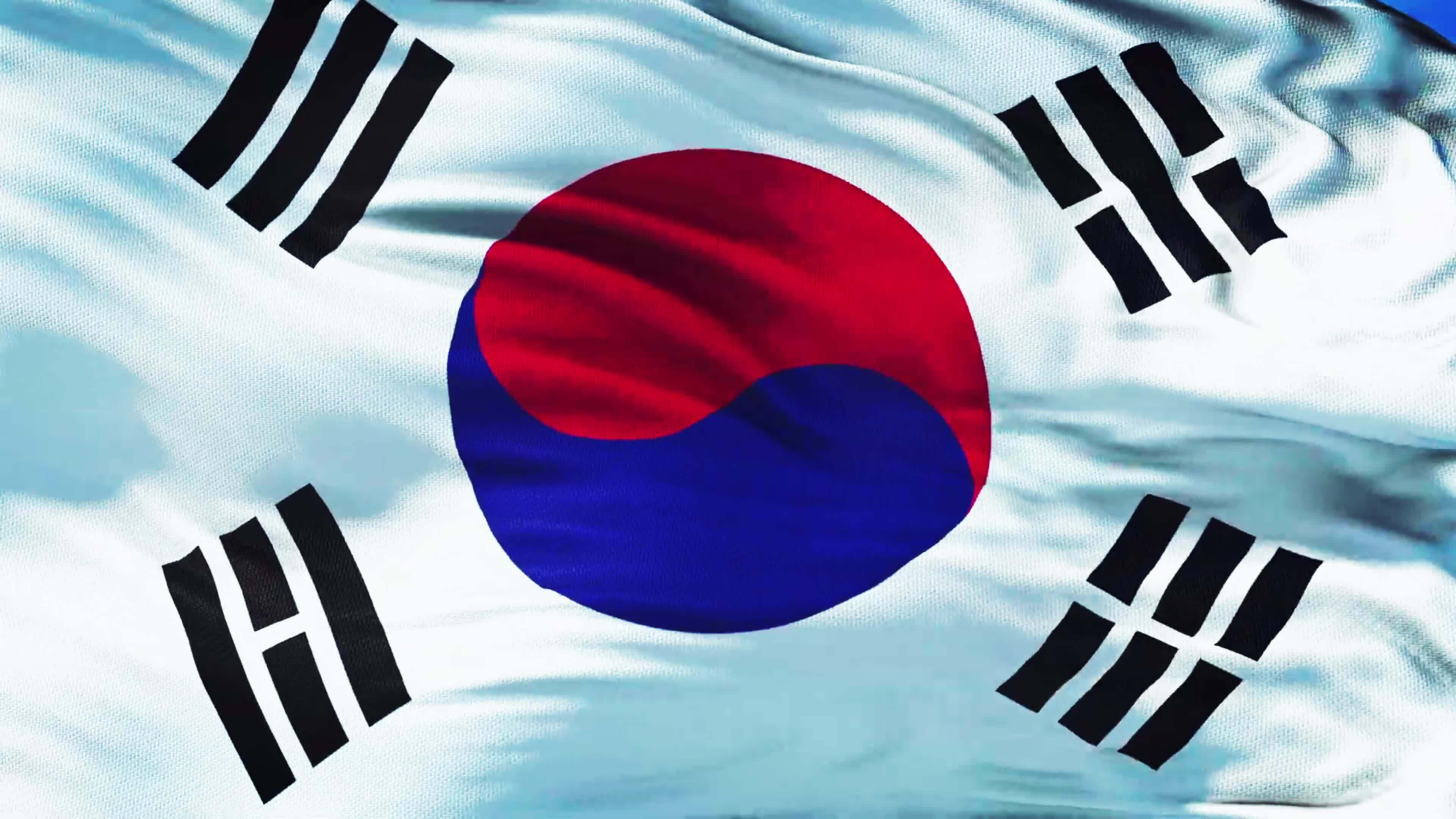 South Korea Flag 24849678 Stock Video at Vecteezy