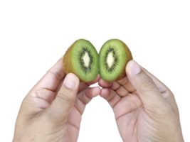 mano sostiene rebanado medio de kiwi fruta, transparente antecedentes png