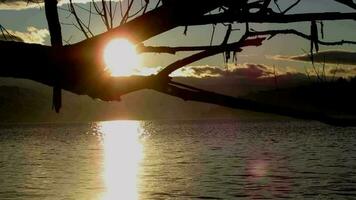 lago montaña atardecer, árbol rama silueta ver video