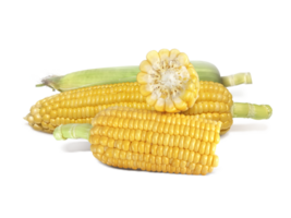 Corn, transparent background png