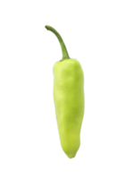 Grün Chili Pfeffer, transparent Hintergrund png