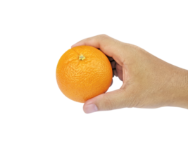 Orange im Hand, transparent Hintergrund png