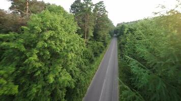 Road through the forest - aerial survey video