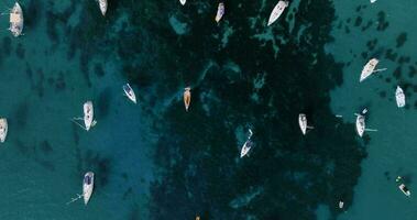 aérien vue le bateaux ancré près le côte dans clair mer des eaux video