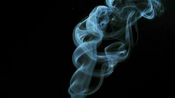 Abstract smoke rises up in beautiful swirls on a black background video