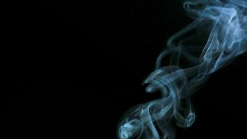 Abstract smoke rises up in beautiful swirls on a black background video