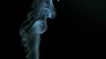 abstrakt rök stiger upp i skön virvlar på en svart bakgrund video