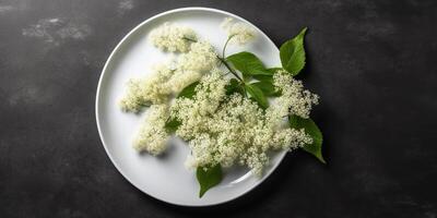 Elderflower for natural ingredient skin care cosmetic, copy space background, Generative AI photo