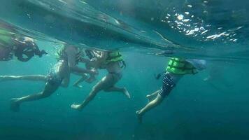 Underwater footage of people snorkling in the sea. Entertainment for tourists at sea. Vacation and travel concept video