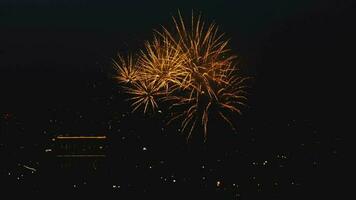 Firework with cityscape night light view of Novosibirsk skyline video