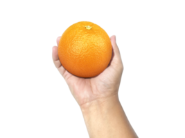 orange in hand, transparent background png