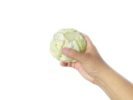 Hand man holds cabbage, transparent background png