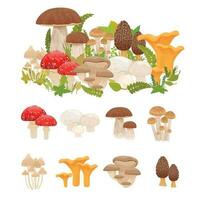 Forest Mushrooms Flat Set vector