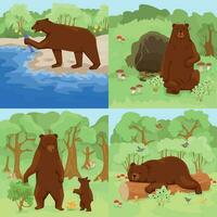 Grizzly In Forest Compositions vector