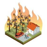 Natural Disaster Forest Fire vector