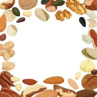 Nuts Seeds Frame Composition vector