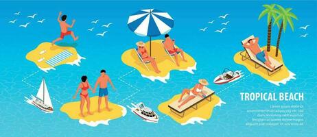 Tropical Beach Isometric Infographics vector