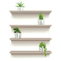 Shelves Realistic Set vector